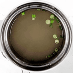 Best Clear Soup in Bel Air, MD